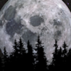 Meet your Posher, Amethyst